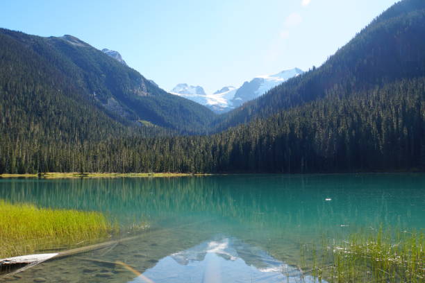 istock Lower Joffre Lake, Canada 1027430558