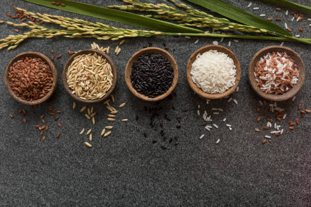 istock Variation of bowls of different rice with rice paddy stem 1027430594