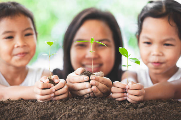 幸せな家族母と娘の若い木植わることのための手の中に保持しているに楽しんで - planting tree human hand women ストックフォトと画像