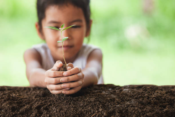 istock Asian child girl planting young tree on black soil 1027435090