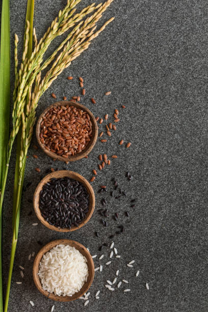 istock Variation of rice bowls with rice paddy stem background 1027435228