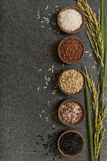 istock Variation of rice bowls with rice paddy stem background 1027435360