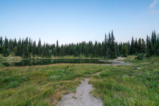 istock Shadow Lake To Sunrise Camp Mt. Rainier National Park 1027441010