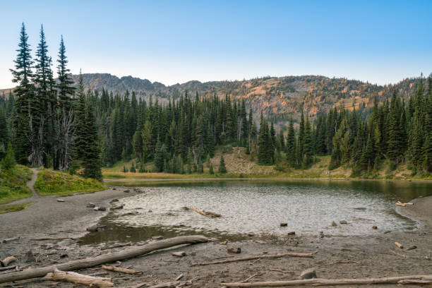istock Shadow Lake To Sunrise Camp Mt. Rainier National Park 1027441062