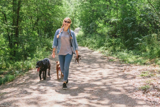istock Young Woman Walking Her Dogs 1027444372