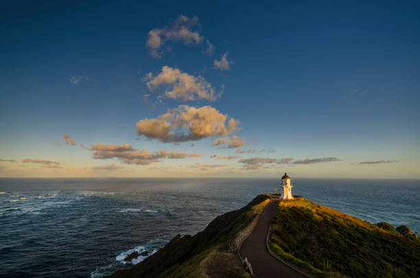 New Zealand's northern cape