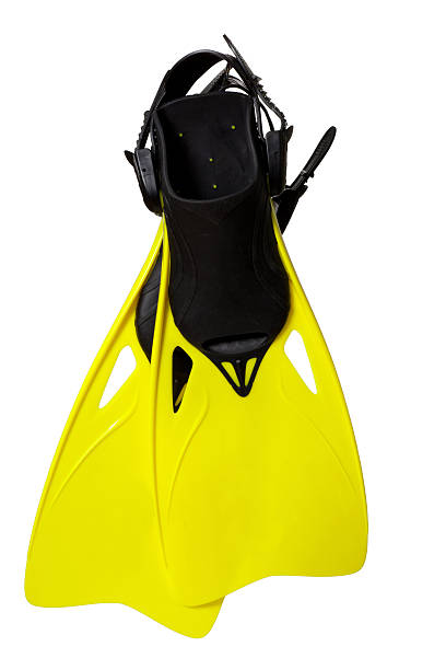 istock Pair of yellow flippers 102745419