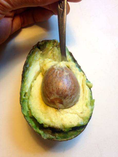 istock Dipping into avocado 1027458434