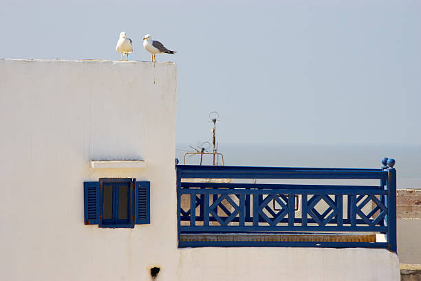 People walking near Appart Hotel & Café Agadir in Essaouira