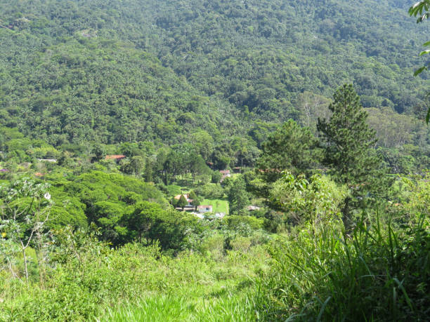 istock Green valley with forest in the background. 1027461574