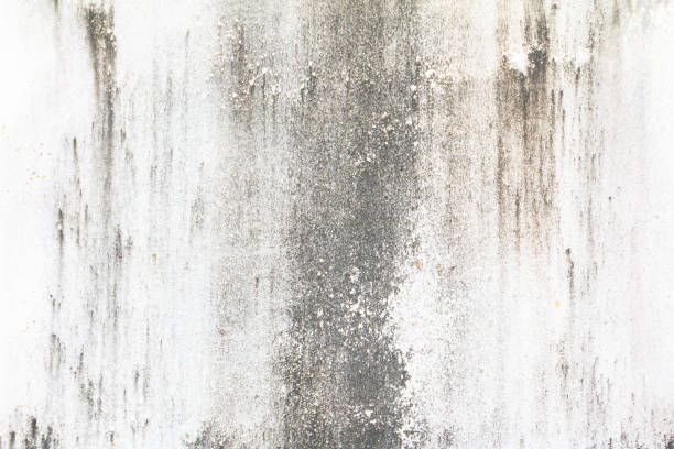 istock concrete cement wall for background old texture vintage color style 1027463784