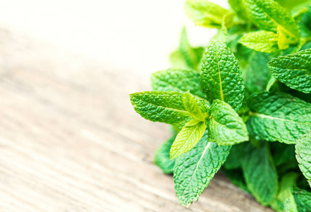 istock Peppermint. Fresh mint on wooden table. Copy-space