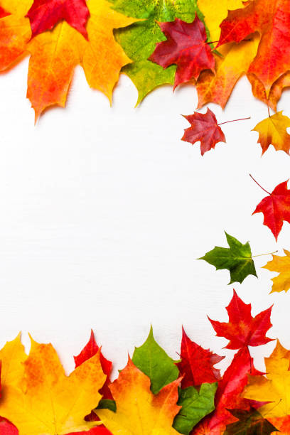 istock Autumn frame composition made of falling  autumn leaves on white background with Copy space.  Flat lay, top view