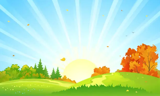 Vector illustration of Autumn sunrise landscape