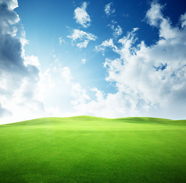 istock field of grass and perfect sky 102749047