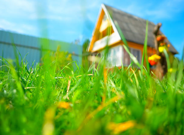 istock Country side house in green summer grass bokeh backdrop 1027491042