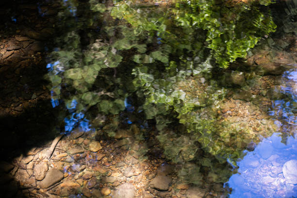 Reflections in the water at Meir Woods stock photo