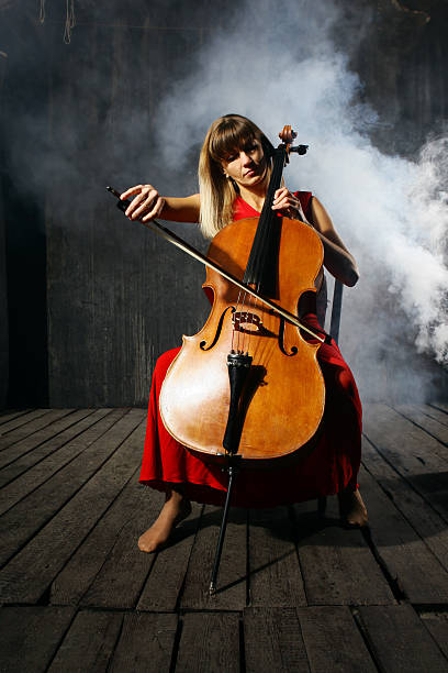 istock Beautiful cello musician 102750164