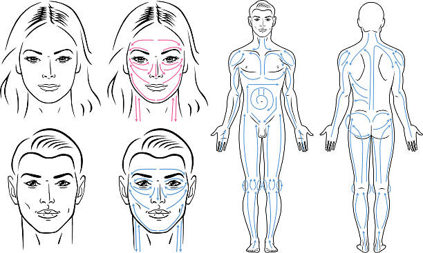 ilustrações, clipart, desenhos animados e ícones de faciais, corpo massageando linhas para homem e mulher. - scincare