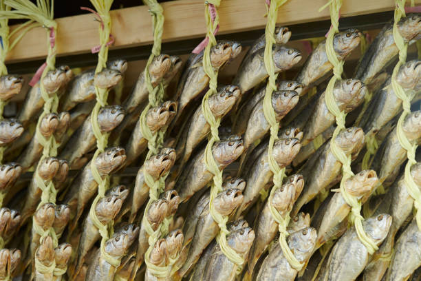 istock Dried fishes 1027513430