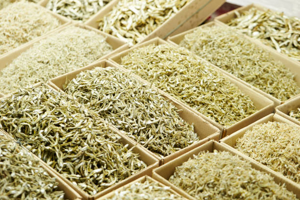 istock Dried fishes 1027513462