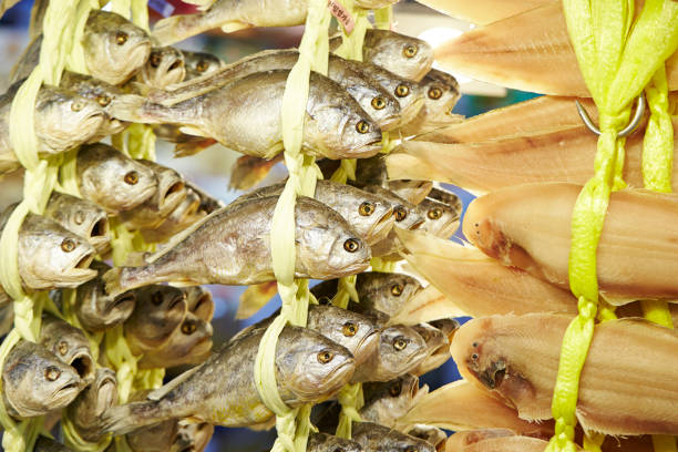 istock Dried fishes 1027513466