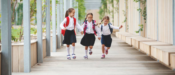 istock Happy children  girlfriend schoolgirl student elementary school 1027513806