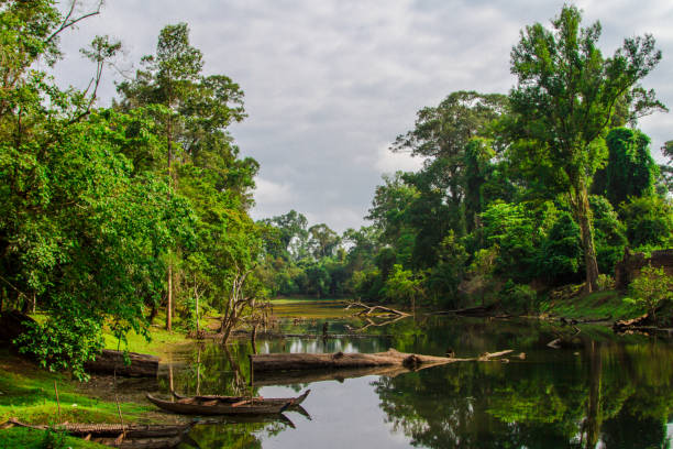 istock Angkor Wat, Angkor, Siem Reap, Cambodia 1027527458