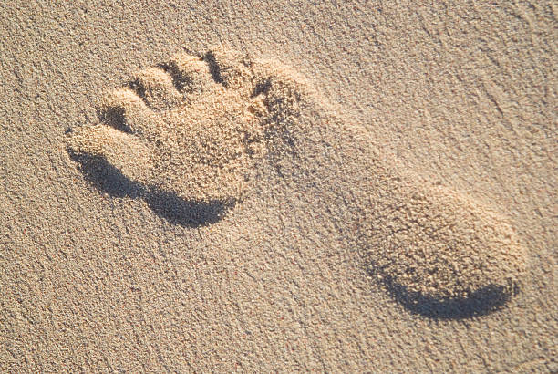 istock Foot Print in the Sand 102752783