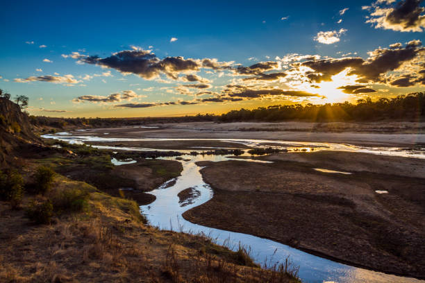 coucher de soleil dans le paysage de rivière olifant à parc national kruger, afrique du sud - parc national de krüger photos et images de collection