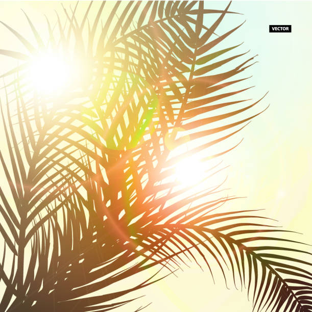 istock Colorful palm leaves. Trendy colors. Sunny day. 1027546028