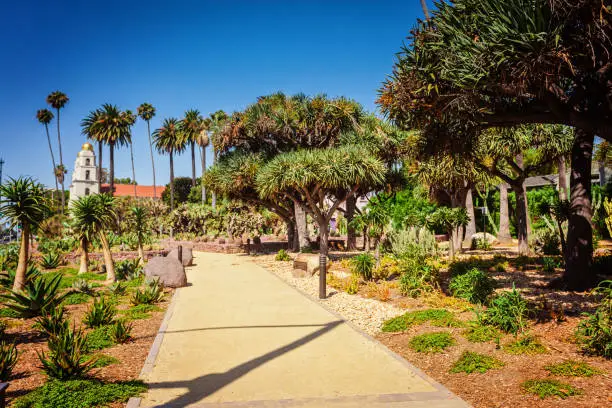 Cactus park at beverly gardens park alond Santa Monica blvd in Los Angeles