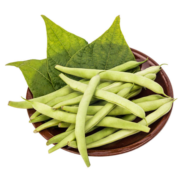istock Fresh green beans and leaves in a clay plate on a table, white isolated background 1027548604