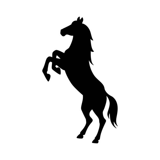 Isolated black silhouette of rearing horse on white background. Side view. Isolated black silhouette of rearing horse on white background. Side view mustang stock illustrations