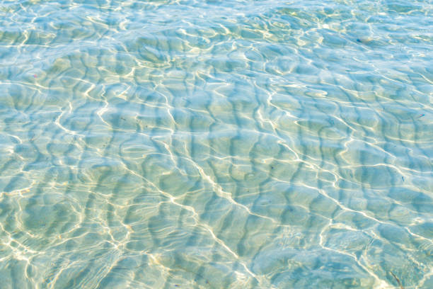 istock Caribbean turquoise water beach reflection aqua perspective background 1027563660
