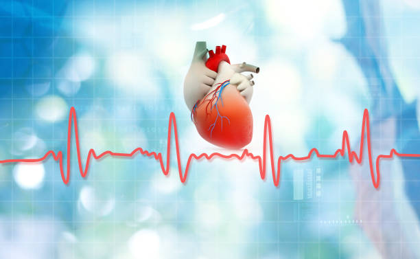 istock Heart anatomy with normal heartbeat rhythm 1027567332