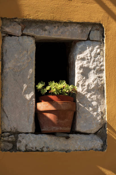 istock Succulent Plants in a Clay Pot - Echeveria 1027575268