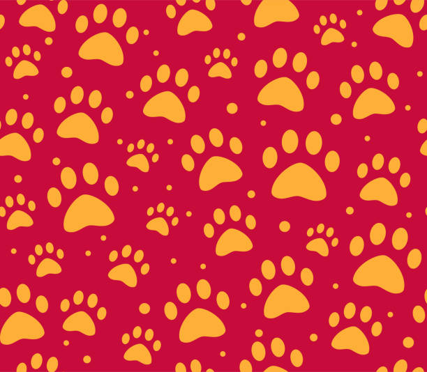 istock cat or dog paw seamless patterns. backgrounds for pet shop websites and prints. Animal footprint 1027576382