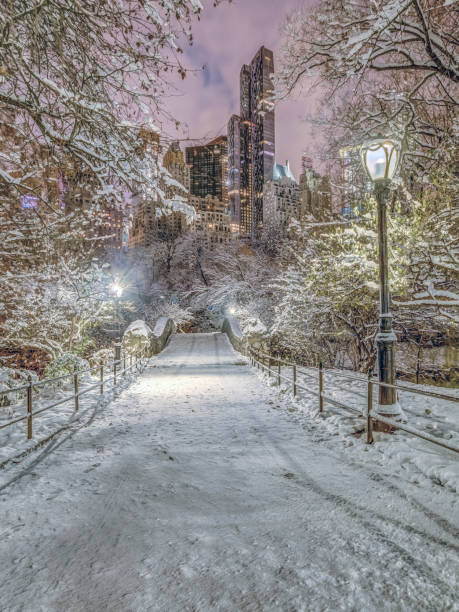 istock Gapstow bridge Central Park, New York City 1027579084