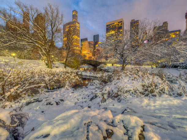 istock Gapstow bridge Central Park, New York City 1027582406