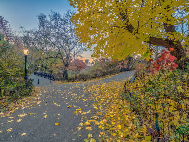 istock Central Park, New York City autumn 1027582530