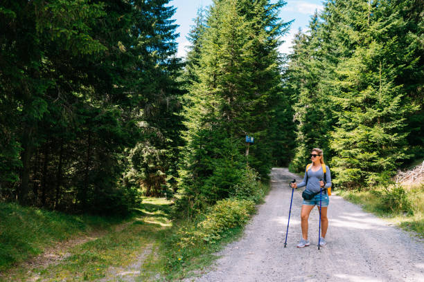 istock Back to nature - hiking in mountains in summer 1027583830