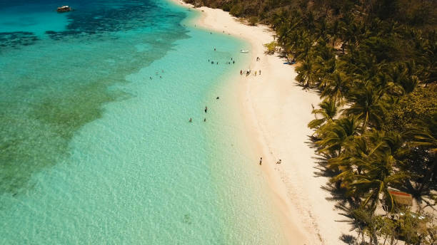 istock Aerial view beautiful beach on a tropical island Malcapuya. Philippines 1027593930