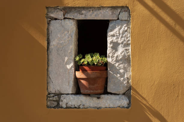istock Succulent Plants in a Clay Pot - Echeveria 1027595978