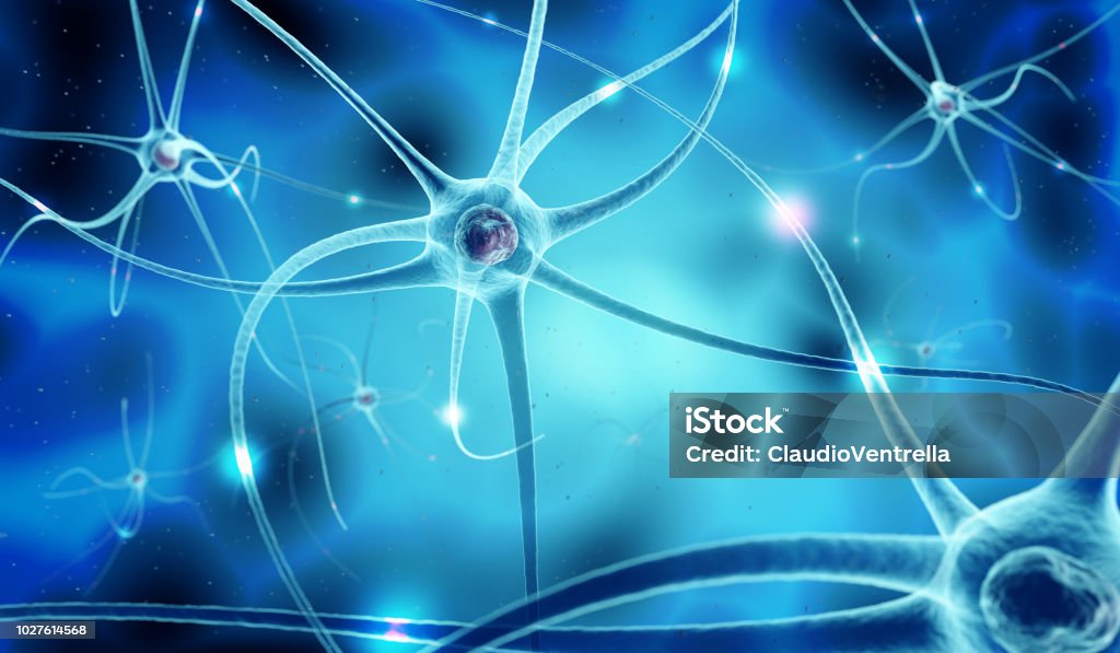 nerve cells in human neural system, 3d illustration 3d illustration of nervous network and nerve cells in blue background Nerve Cell Stock Photo