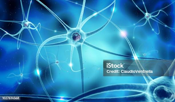 Nerve Cells In Human Neural System 3d Illustration Stock Photo - Download Image Now