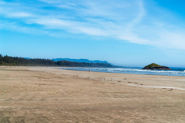 istock Long Beach in Tofino - BC, Canada 1027615266