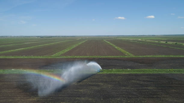 istock Irrigation system on agricultural land 1027615914