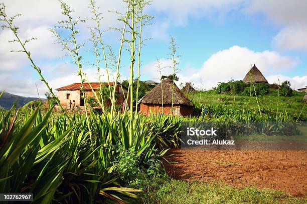 Foto de Timor Oriental Village e mais fotos de stock de Timor-leste - Timor-leste, Fazenda, Casa