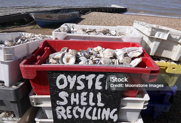 Oyster Recycling Im Whitstable South East England Stockfoto und mehr Bilder von Auster - Auster, Recycling, Umweltschutz